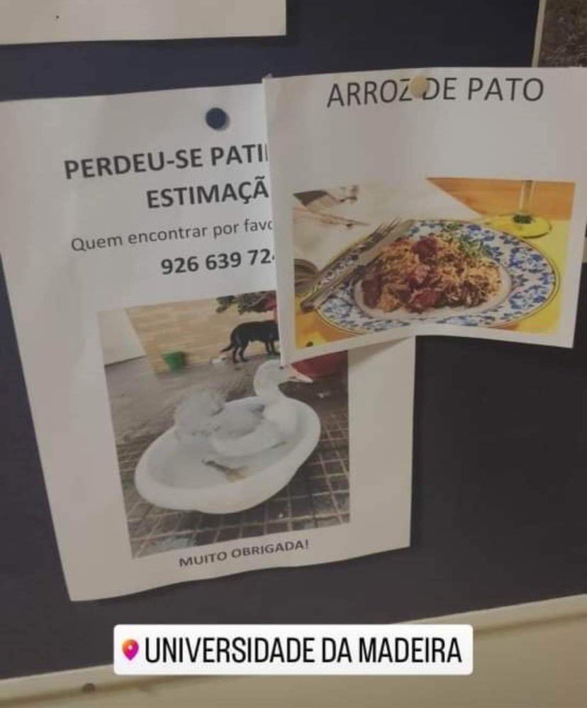outmadeira's tweet photo. https://t.co/jqj6zCXbvl