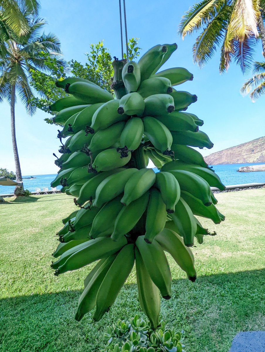 Smoothie time ahead!