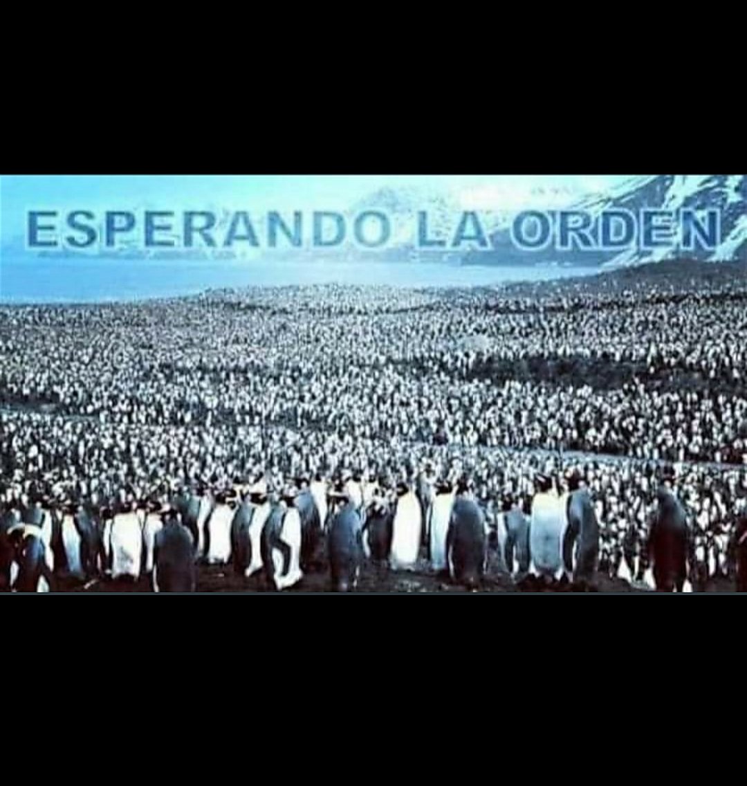 <a href="/Sami25280250/">Sami!! ESTA CUENTA BANCA A CRISTINA!!</a> <a href="/GarbarzAriel/">Ariel Garbarz</a> <a href="/CFKArgentina/">Cristina Kirchner</a> Sin dudas....