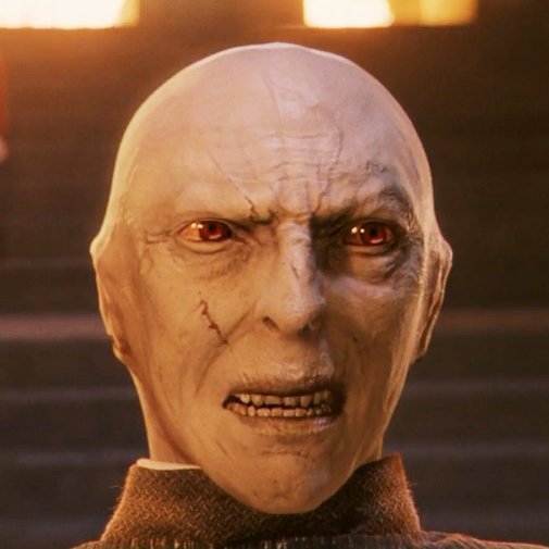 La parte frontal del árbol de Navidad / La parte trasera del árbol de Navidad