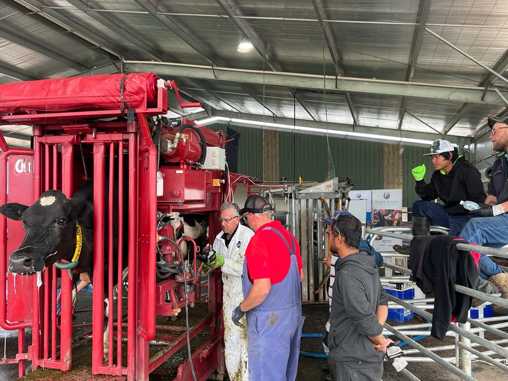 SaveCowsNetwork's tweet image. This month, we visited dairy farms and beef lots throughout Australia with our dealer, Eagle Direct and their Lameness Specialist, Dean Fry.  Courses were held that focused on lameness prevention, treatments and functional hoof trimming. #SaveCowsNetwork #NoLamenessTolerance