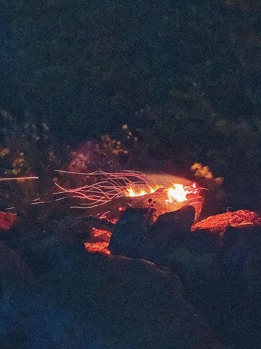 shogotten's tweet image. Tea is mean to be.