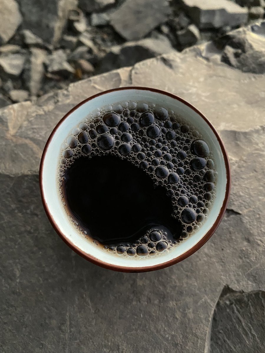 shogotten's tweet image. Tea is mean to be.