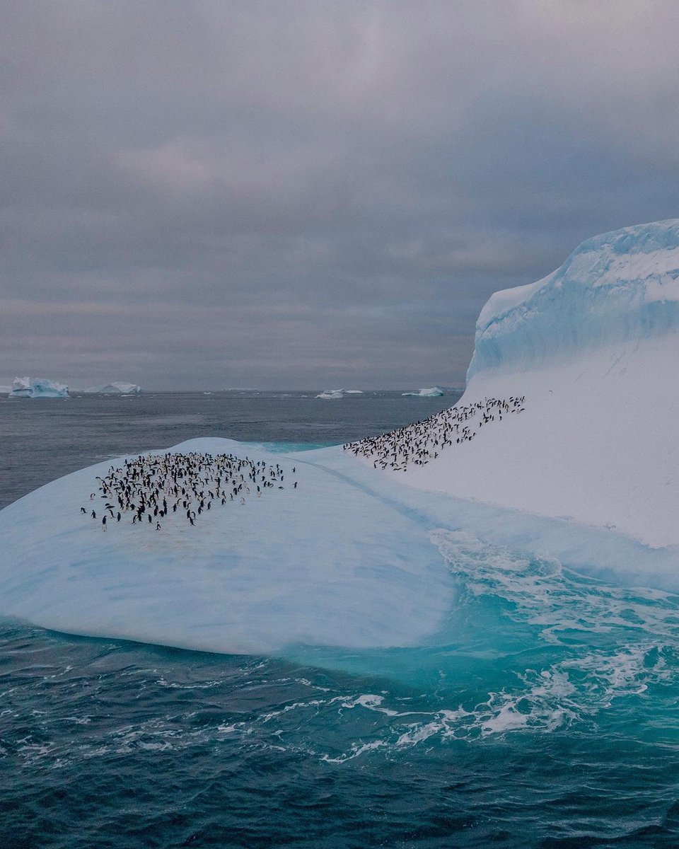 viewsfrance's tweet photo. Afin de montrer les conséquences du réchauffement climatique, le New York Times présente une série de clichés rendant compte de l’ampleur de la crise. https://t.co/8XwotzSaXq