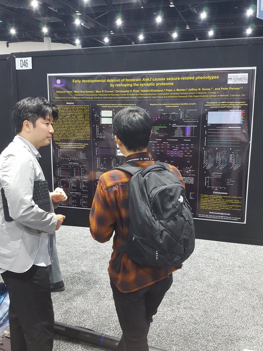Penzeslab (@penzes_lab) on Twitter photo Come learn about the ank2 synaptic proteome with links to seizure susceptibility. 
Poster D46 at #SfN2022 Come learn about the ank2 synaptic proteome with links to seizure susceptibility. 
Poster D46 at #SfN2022