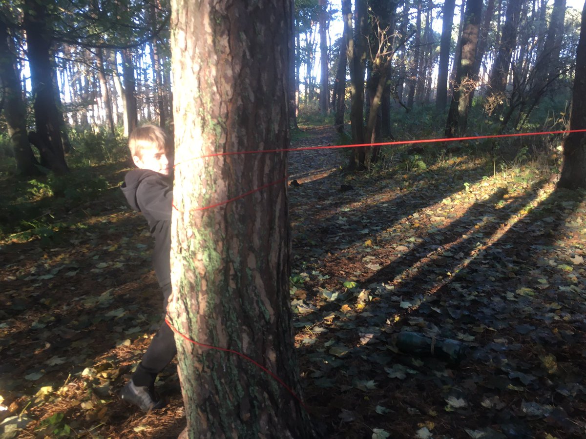 dpsforestschool tweet media