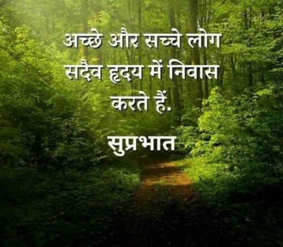 amandilwar's tweet photo. अच्छा कार्य करने वाला कभी 
          सम्मान का भूखा नहीं होता, 
क्योंकि उसका कार्य खुद उसे 
          सम्मान का पात्र बना देता है। 

          🌹जय श्री राम🙏 https://t.co/QooNgZcXiG