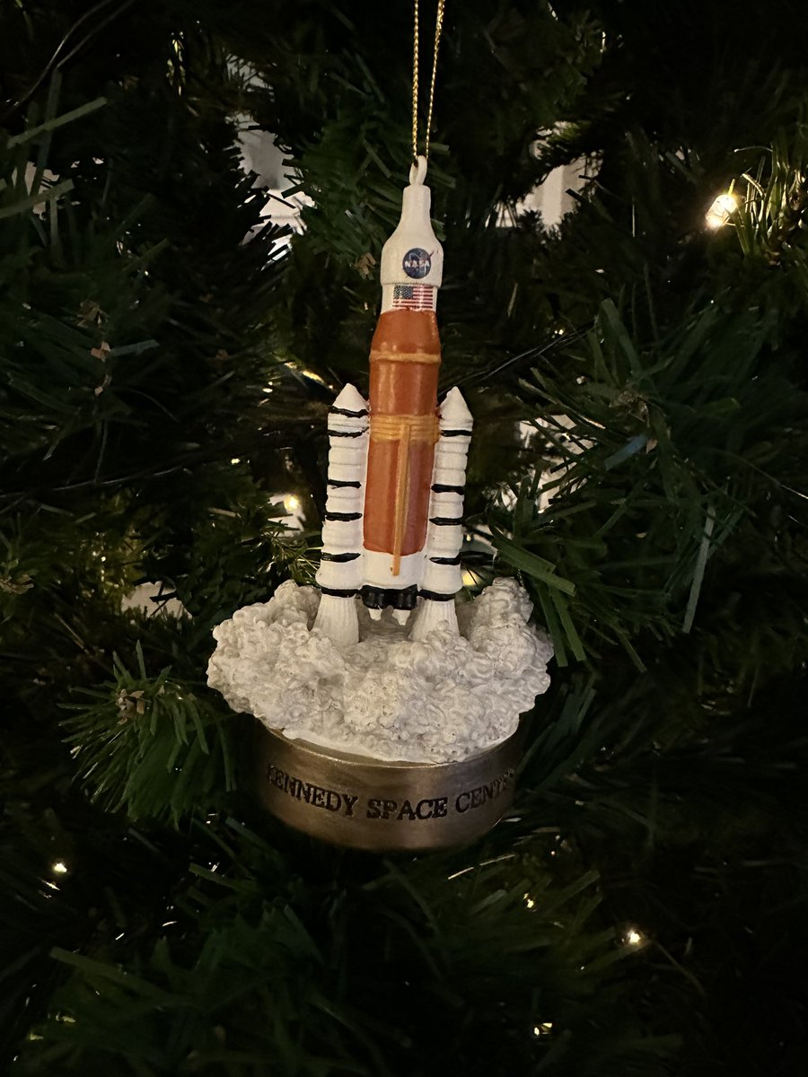 Good day to hang my SLS ornament!