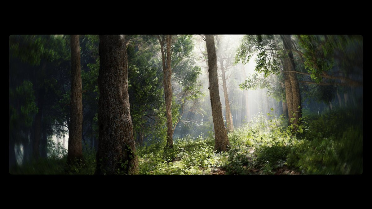 Paraside_'s tweet photo. Forest lighting tests using the new and improved lumen foliage support in unreal 5.1 

#UnrealEngine5 #Lumen #lighting #megascans https://t.co/g1WomTwwoK