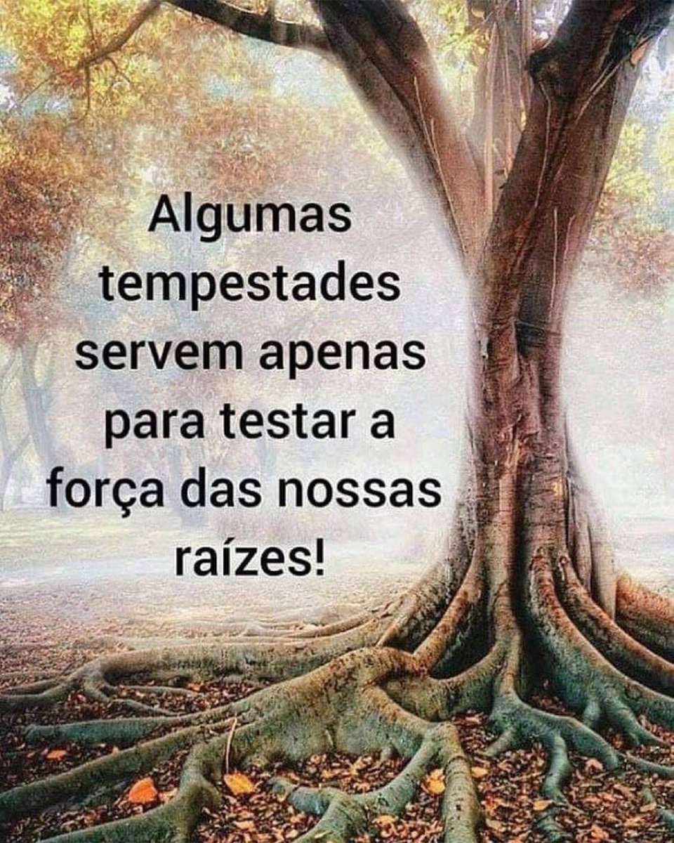 seguiralexandre's tweet photo. https://t.co/xMXYl1wMCV