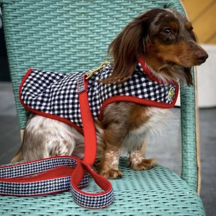 boulderbarks's tweet photo. Keep your fur babies warm during the cold months with one of our stylish coats!
https://t.co/lCD39jEbBz
#doglife #happydog #dogoftheday #doglovers #puppylove #ilovemydog #dogslife #BoulderColorado #dogfashion #holiday #winter #snow #cozy #BoulderBarks #puppy #coloradodog https://t.co/a2te7JKflX