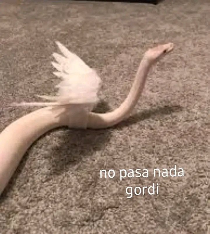 Juliana intentando contener el veneno hasta que acabe el vivo. #GranHermano #GH2022 #GH22