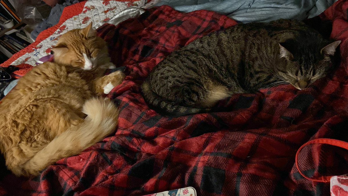 Susan Almon tweet media