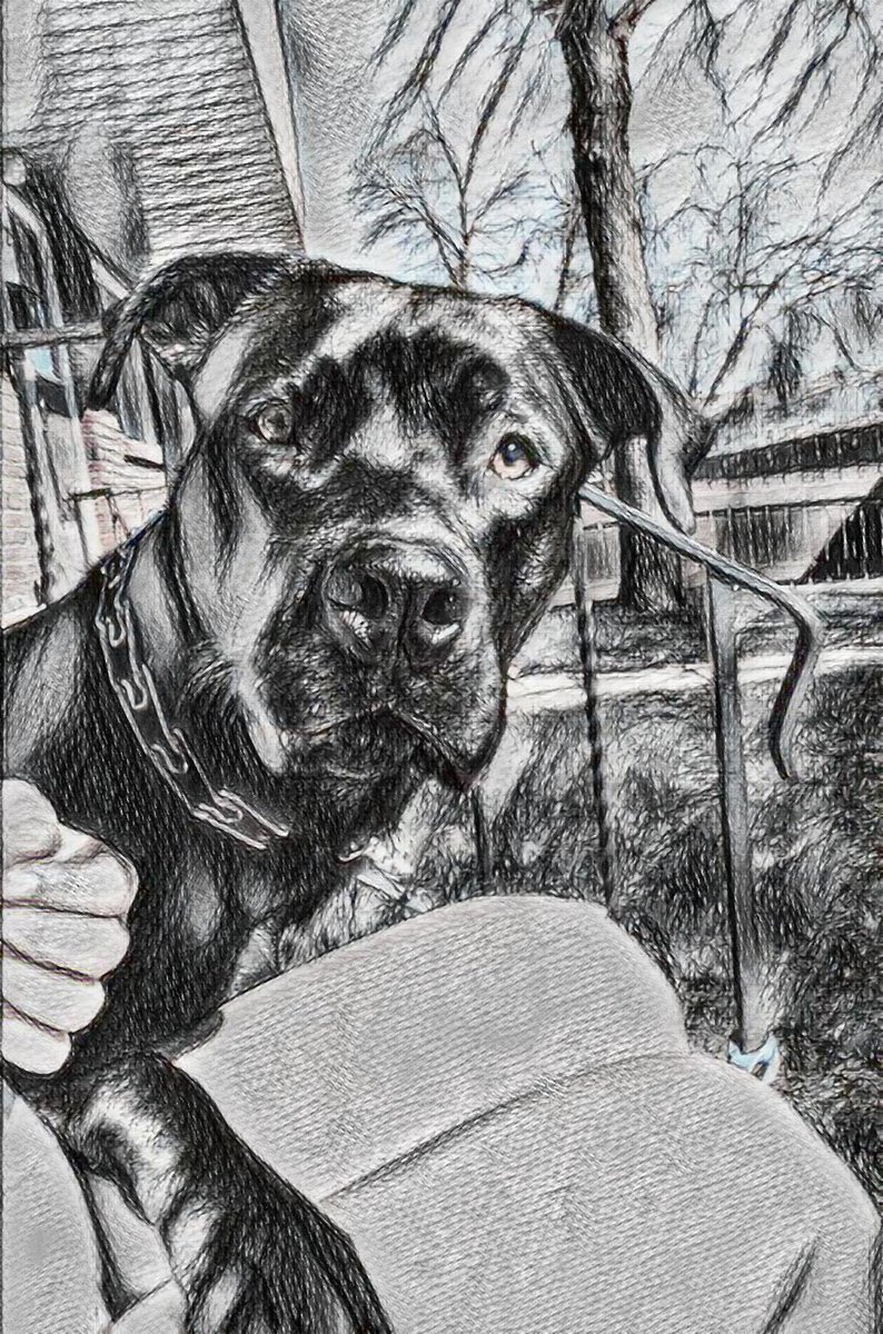 LeRuffleFace's tweet image. piece for choft