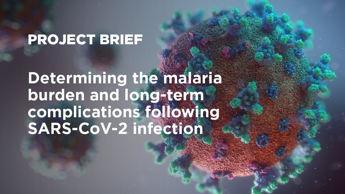 Ashley Giles (@ash_giles) on Twitter photo Hugely important work being done by <a href="/JaneAchan_Edwin/">Jane Achan Edwin</a> and our research team <a href="/FightingMalaria/">Malaria Consortium</a> exploring the link between #COVID19 and #malaria, in collaboration with hospitals and health authorities in #Ethiopia and #Uganda
Learn more 👉 bit.ly/3uJajhe Hugely important work being done by <a href="/JaneAchan_Edwin/">Jane Achan Edwin</a> and our research team <a href="/FightingMalaria/">Malaria Consortium</a> exploring the link between #COVID19 and #malaria, in collaboration with hospitals and health authorities in #Ethiopia and #Uganda
Learn more 👉 bit.ly/3uJajhe