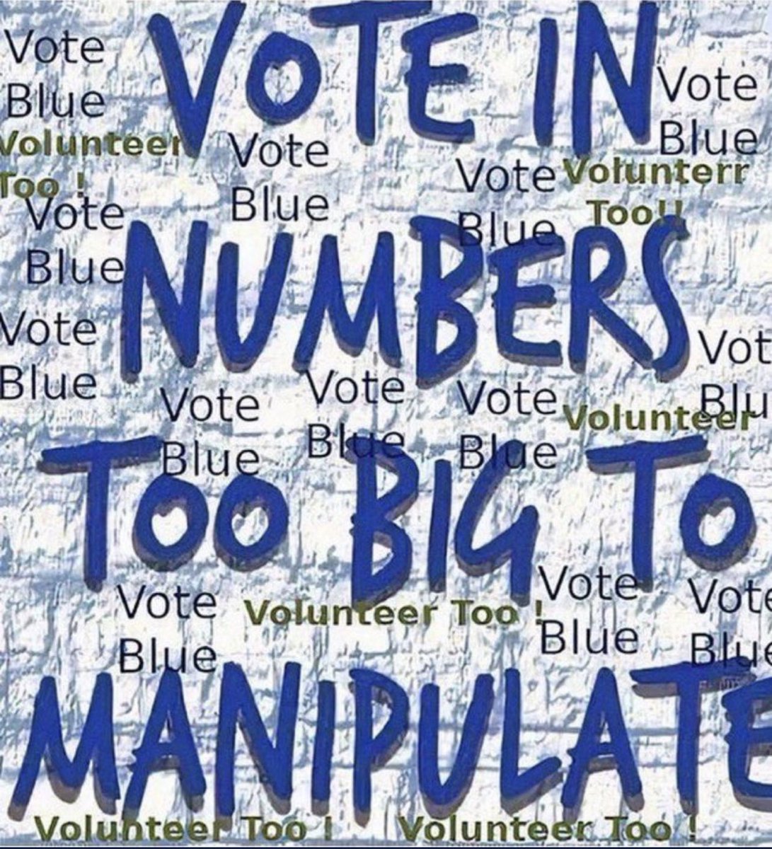 @davidplouffe Vote Blue full ballot in every election big and small. Check your registration prior to every election deadline. If you mail or absentee vote go online and  ensure your ballot is received and counted, if it’s not immediately cure your ballot.
