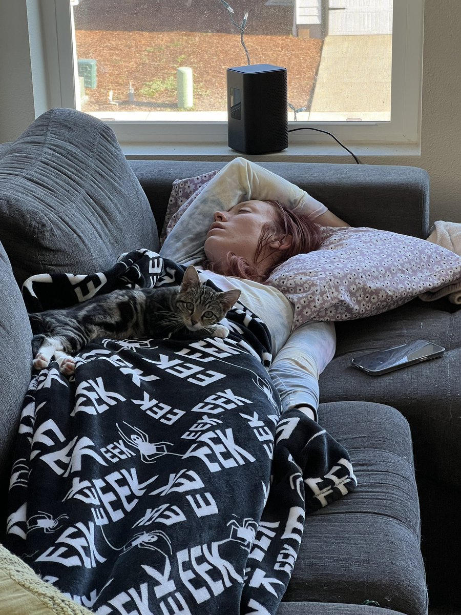 MojitoMami00's tweet photo. The sleepiest home today 😂 https://t.co/qjSMeVQgj3