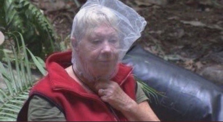 ✰ kori ✰ tweet media