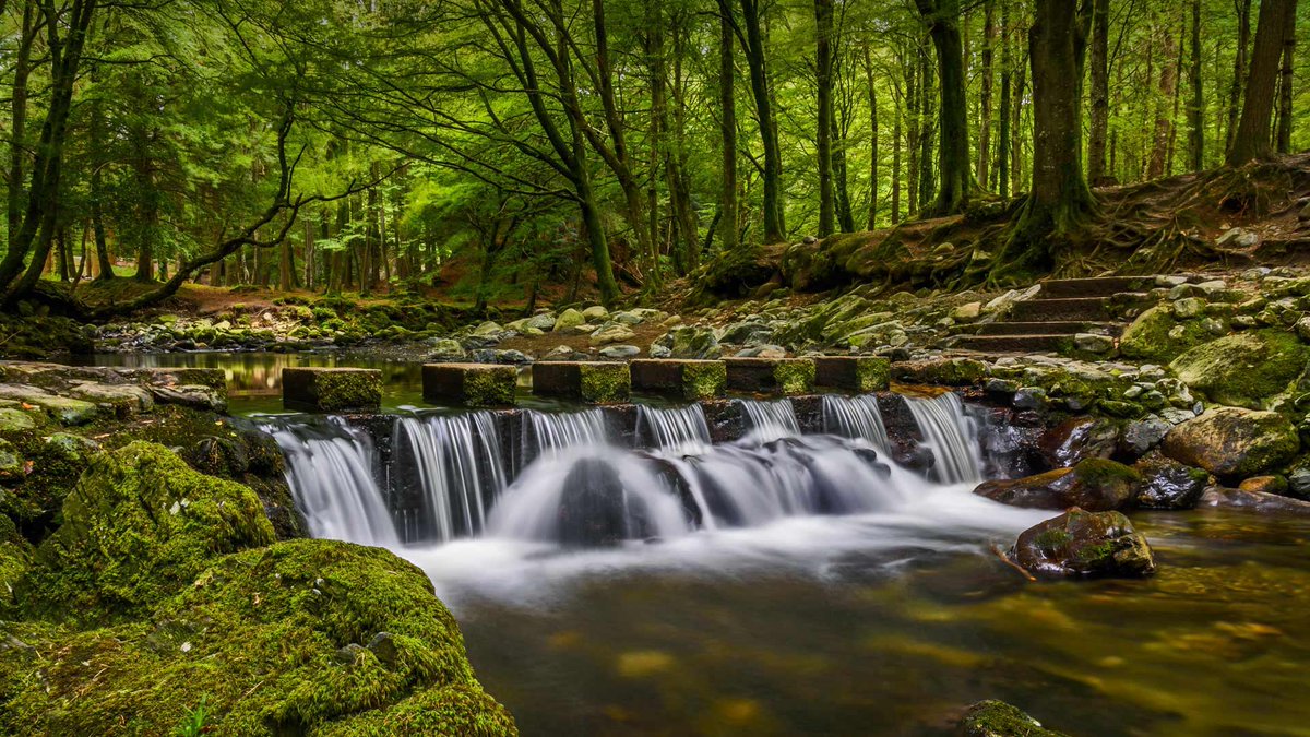 Stepping Stones in Tollymore National Park. Northern Ireland. Stock Photo.