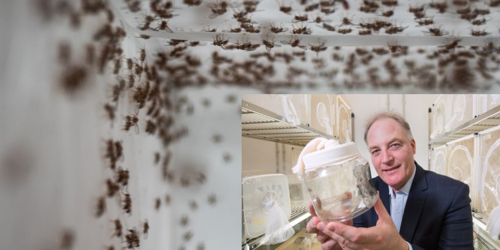 MQAppBioSci's tweet photo. Congratulations ! Prof. Phil Taylor @MQAppBioSci for being recognised as Australia's #1 researcher of 'Insects and arthropods' by The Australian 2023 Research Magazine, 9 November #Researchexcellence https://t.co/FUzbjRQ4ul