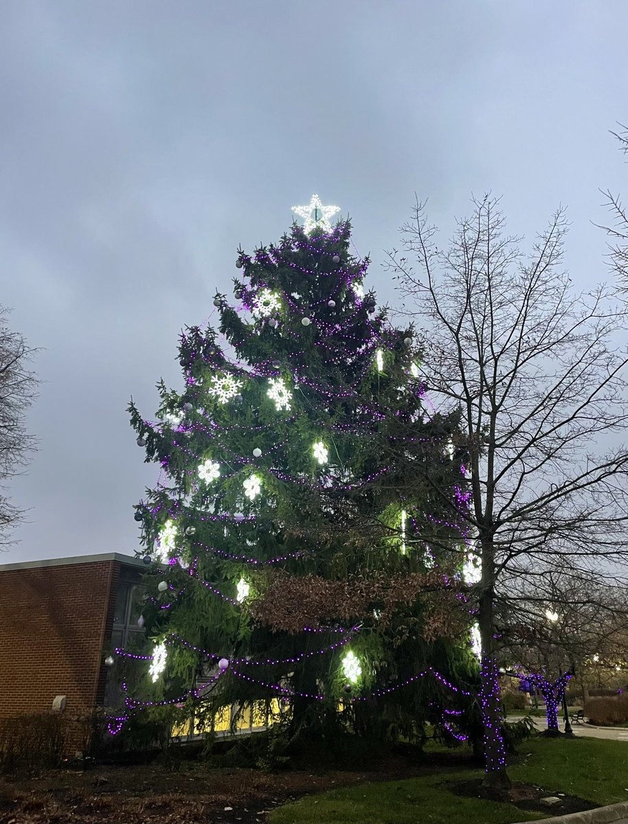pr262lmarvin's tweet photo. Capital kicked off the holiday season tonight with a wonderful and snowy Christmas tree lighting!❄️🎄@Capital_U https://t.co/2puiMWEhJR