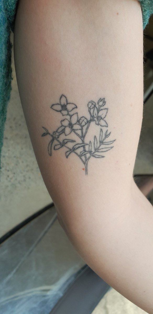JulianBotanic's tweet image. With the @ASBS_botany conference coming to a close, I wanted to share with you the magnificent plant tattoos of plants real and not so real that are residing under the skin of some attendants. See all in the thread. Can you name the plants portrayed?
