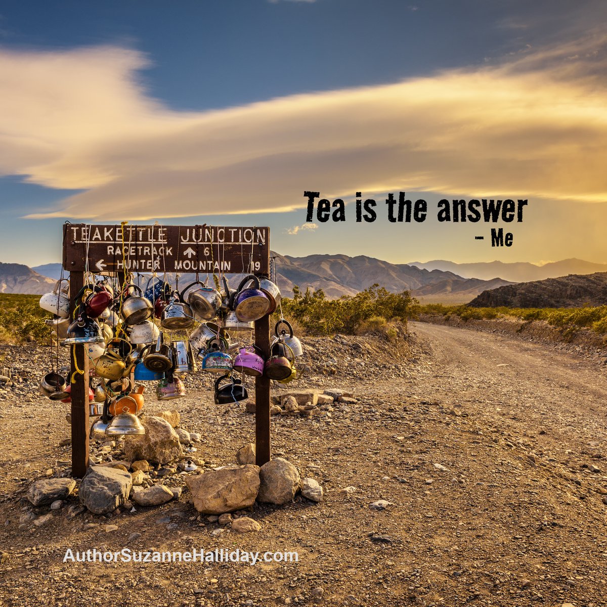 SuzanneHalliday's tweet photo. In a world that feels increasingly topsy-turvy, I turn to my old friend, tea. 
PG Tips extra strong is my go-to
Hot, not too sweet, with a splash of half&amp;half 
#authorlife @PGtips https://t.co/VxTG26k2E2