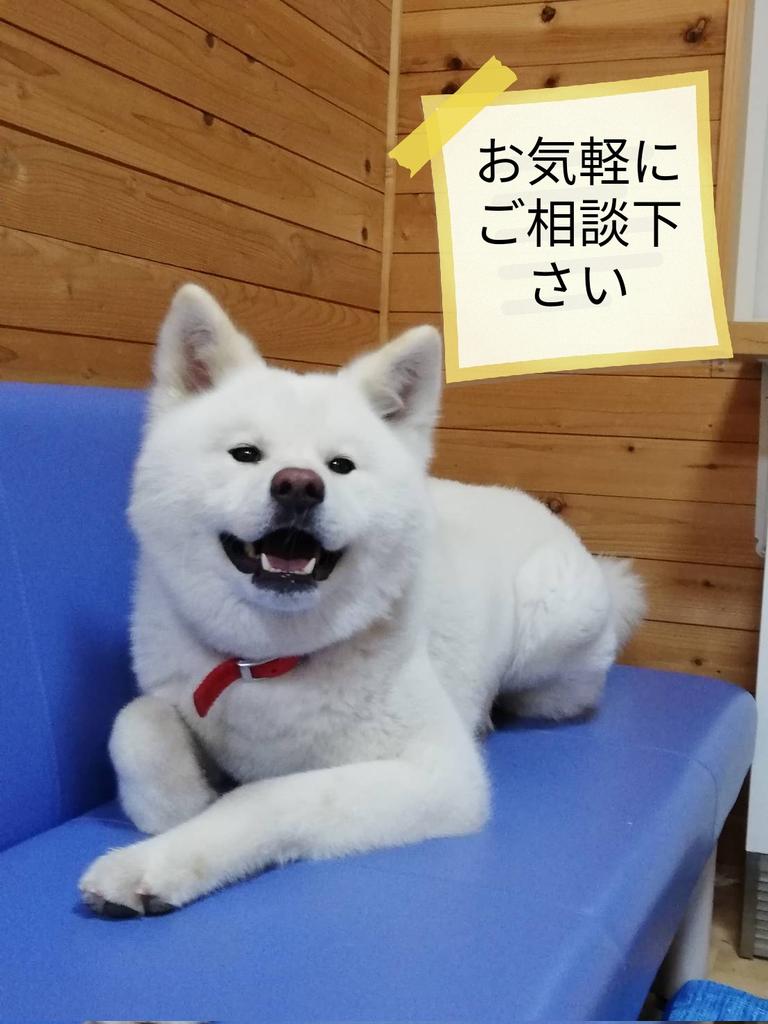 Lk Jxx9 Itzyim Lk Jxx9 Itzyim