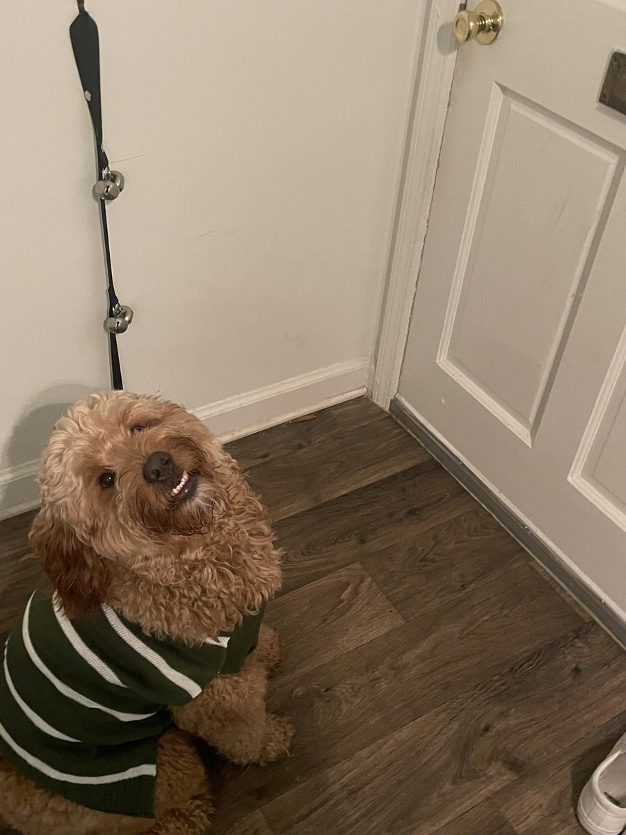 Brianna George, PhD tweet media