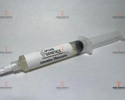 Spore_Genetics's tweet image. We offer Amanita Muscaria LC! Get yours while it last

sporegenetics.com

#mushrooms #liquidculture #amanita #amanitamuscaria #toadstool #mario