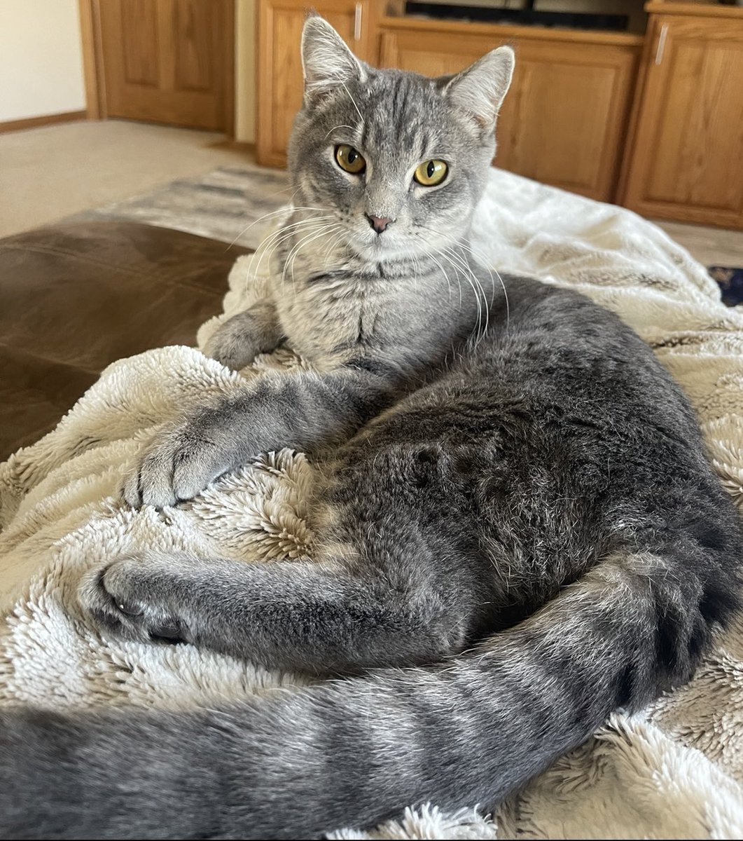 Twitter meet Oliver, Oliver meet twitter.