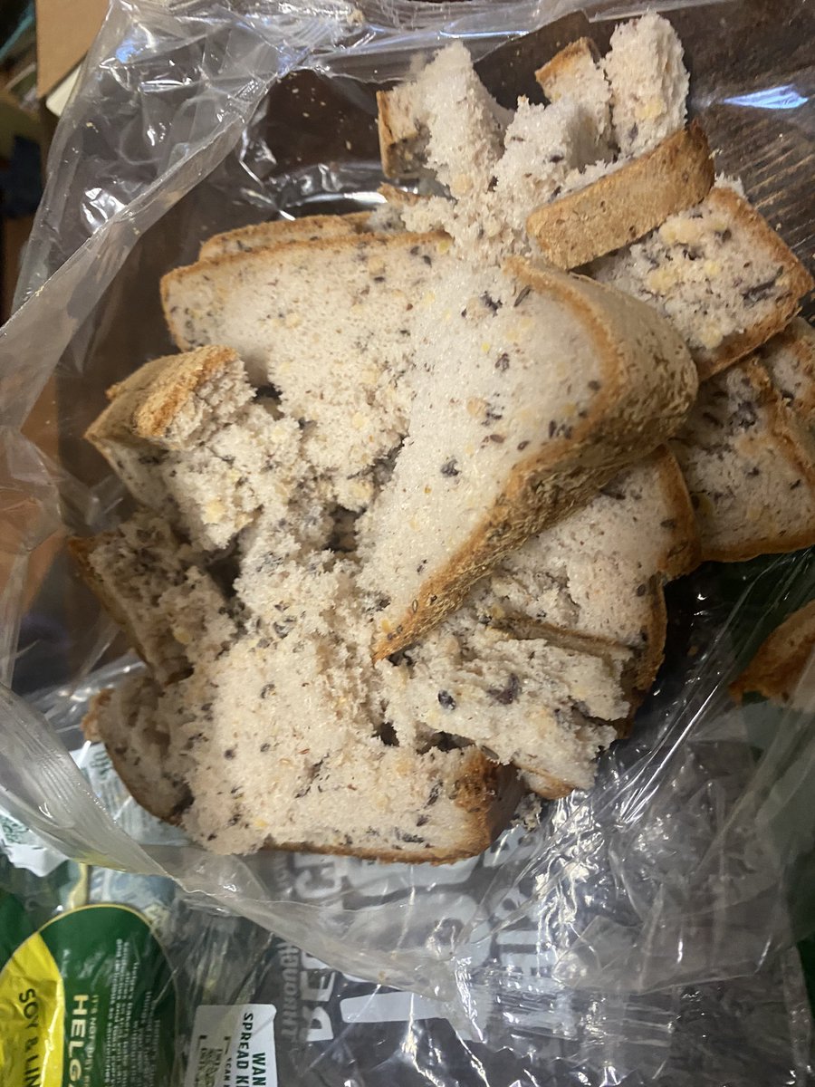 "Mackenzie" tweet media