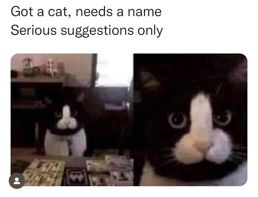 Habitual Linestepper® tweet media