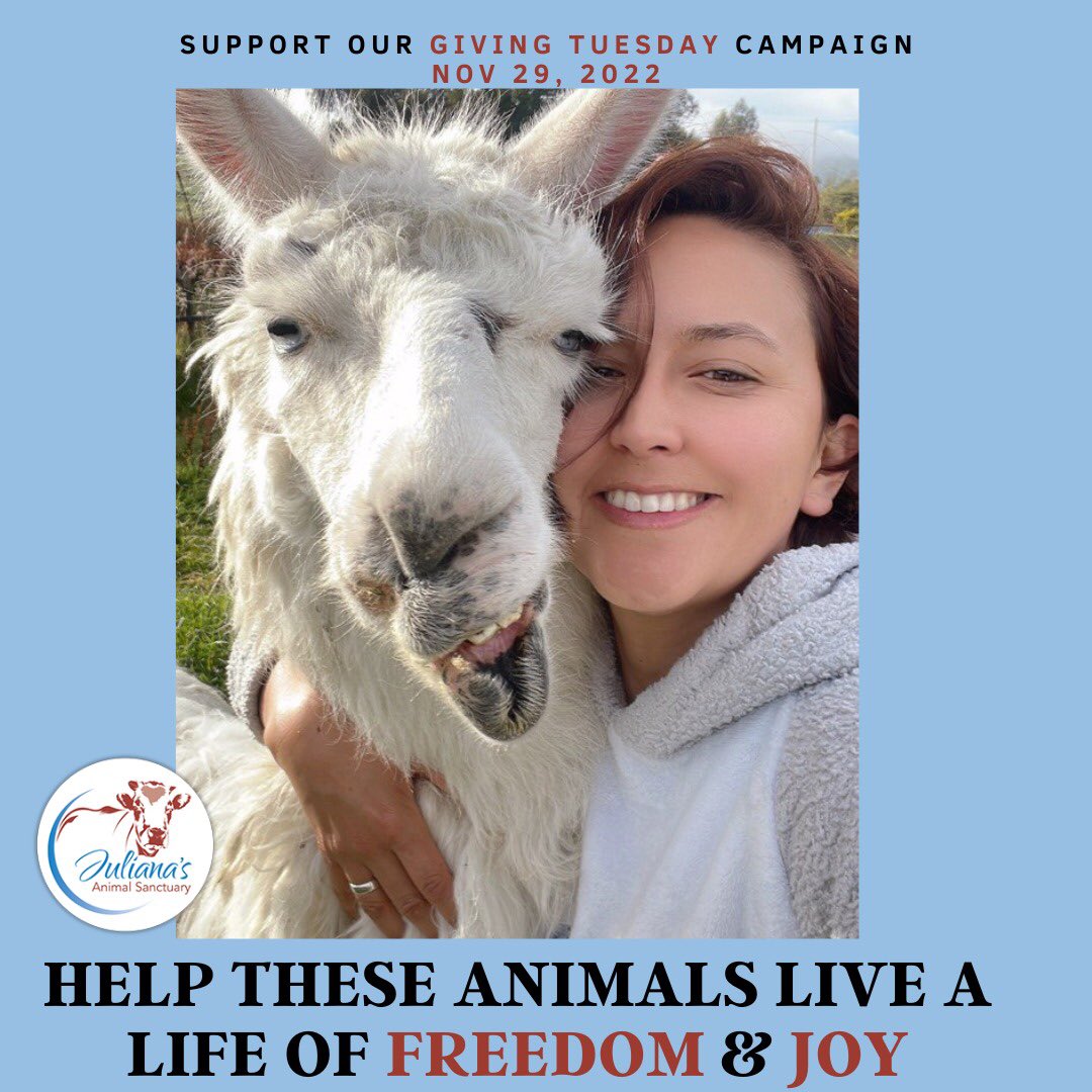 #GivingTuesday is coming up! If you’re anything like us, you love animals. On #GivingTuesday we’re asking everyone who cares about animals to make a donation to our organization. Please visit donorbox.org/giving-tuesday… and donate today. Won’t you join us?
