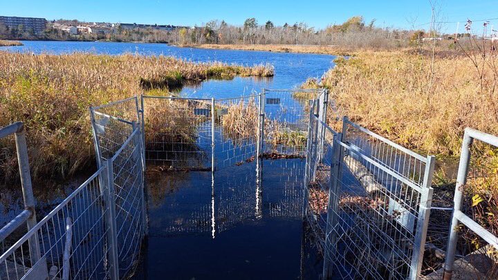 During Love Your Lake Monitoring Season we learned from local residents on the value and importance of these special places

Join us on Vimeo to see these amazing stories
#LoveYourLake 

vimeo.com/showcase/99670…
