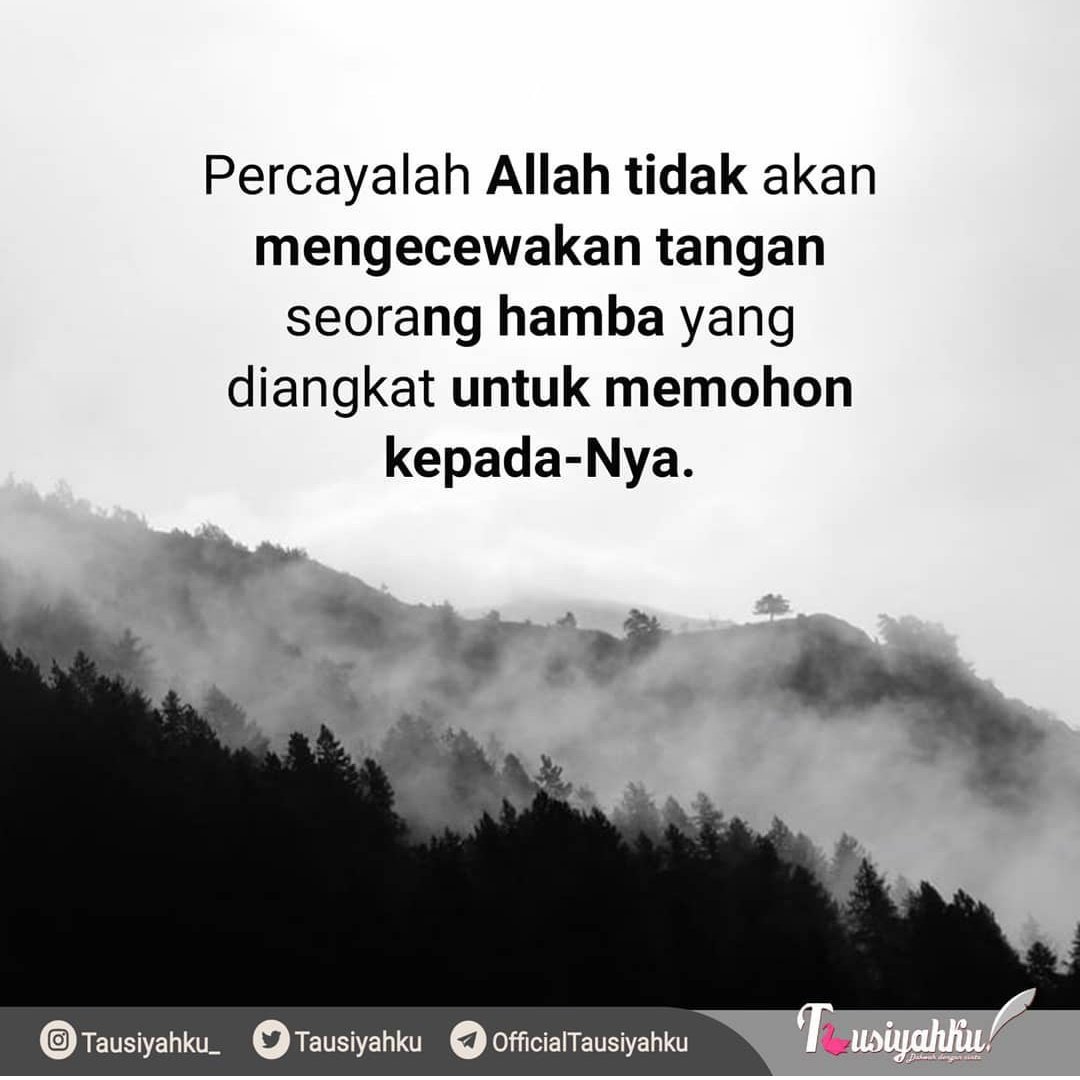 Tausiyahku tweet media