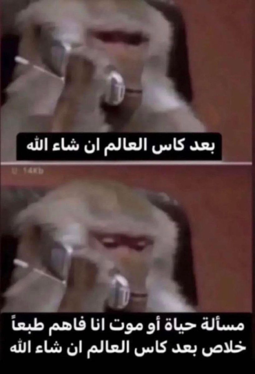 Mood