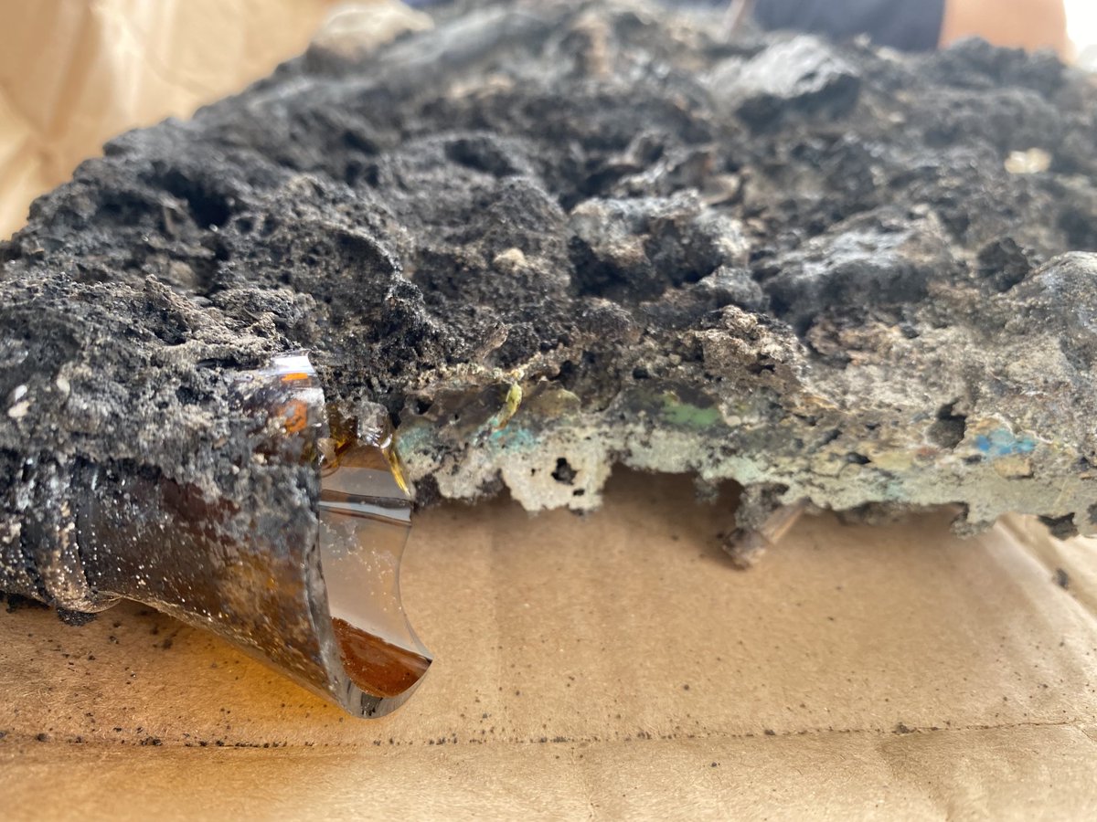 TR Walter tweet media