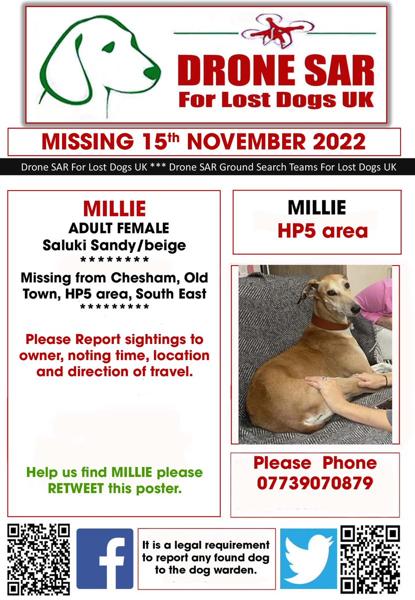 sar_dogs's tweet image. #LostDog #Alert MILLIE
Female Saluki Sandy/beige (Age: Young Adult)
Missing from Chesham, Old Town, HP5 area, South East on Tuesday, 15th November 2022 #DroneSAR #MissingDog
