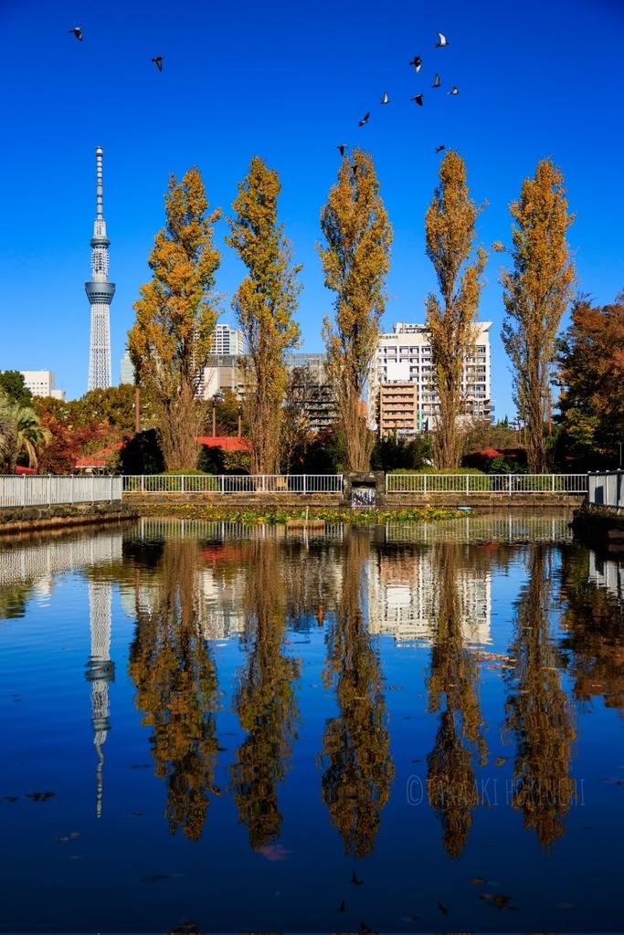 逆さスカイツリー Twitter Search Twitter