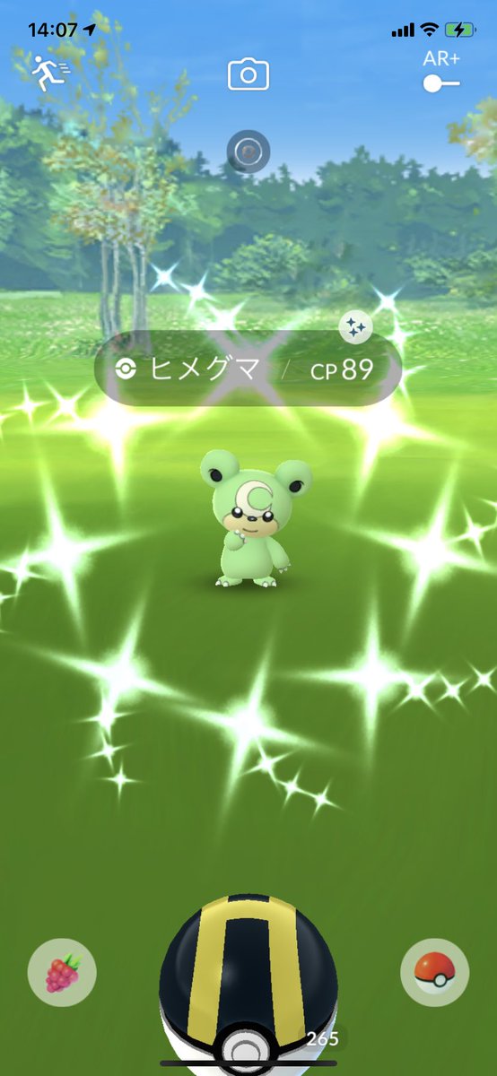 ポケモンgo ヒメグマの入手方法 能力 技まとめ 攻略大百科 ポケモンgo ヒメグマの入手方法 能力 技まとめ 攻略大百科