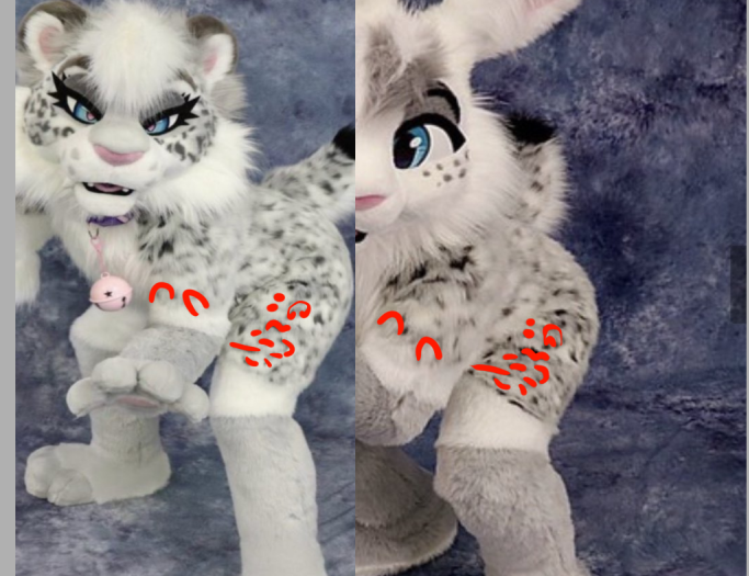 TIGERS CLAWS On Twitter verylewdcat LemonFox7 dhc hatepage ThE 