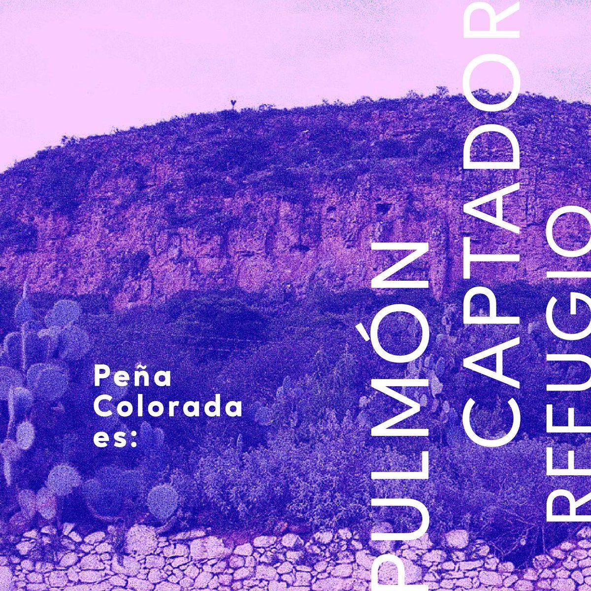ReforestandoMx's tweet photo. Mañana es el último día para emitir nuestros comentarios en favor de #PeñaColorada 💚 firma hoy es momento de hacer historia. 👇
https://t.co/c7uJXSJLxY https://t.co/ZJJE6m4W74