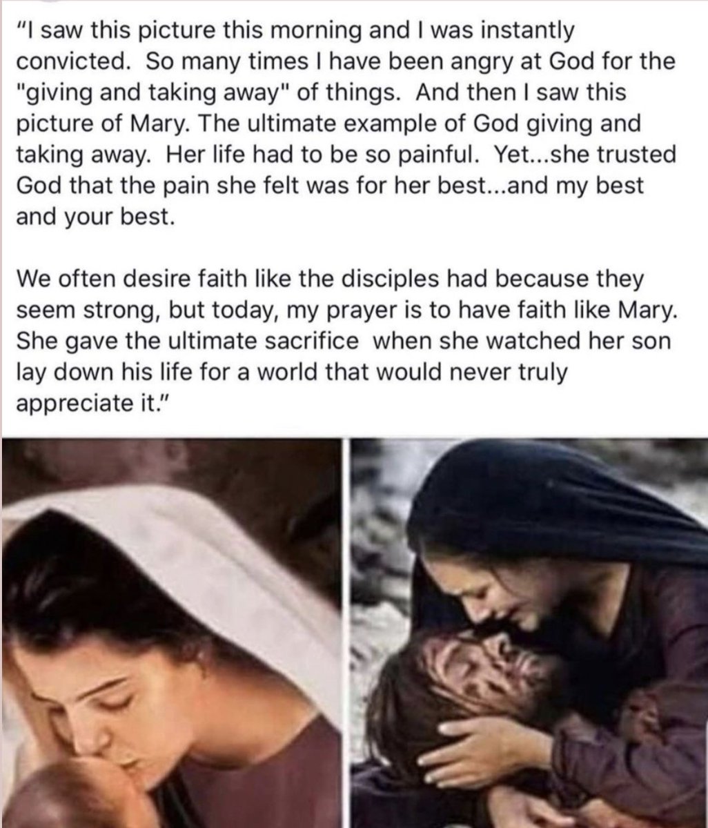 🔸Dahlia Woods🔸 tweet media