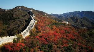 Cricketword62's tweet photo. Great Wall https://t.co/bockETa0fL