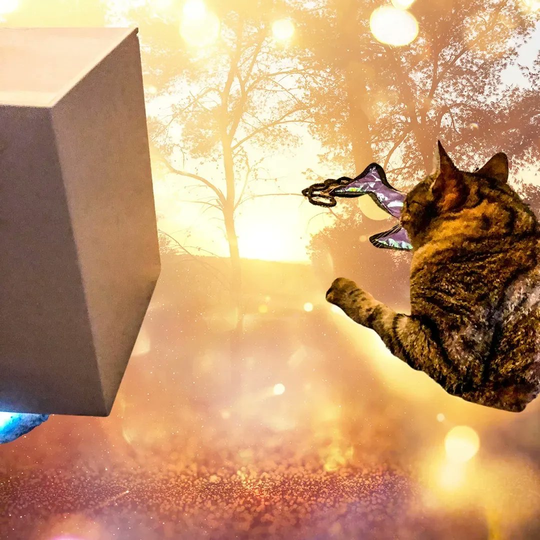 WayofCats's tweet photo. Tristan has become fond of the new humidifier but now it's developing a distinct wormhole fascination vibe.
Post on why coming this Sunday.
#CatsofTwitter #CatsofImagination #ManyFacesofPickle #CatBrains https://t.co/U9r2CfGbIz