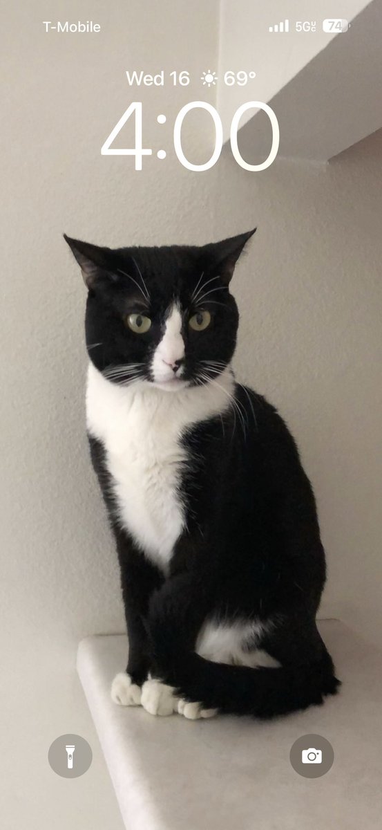 j8merson's tweet image. 😤 #iOSLockscreen #Apple #iPhone