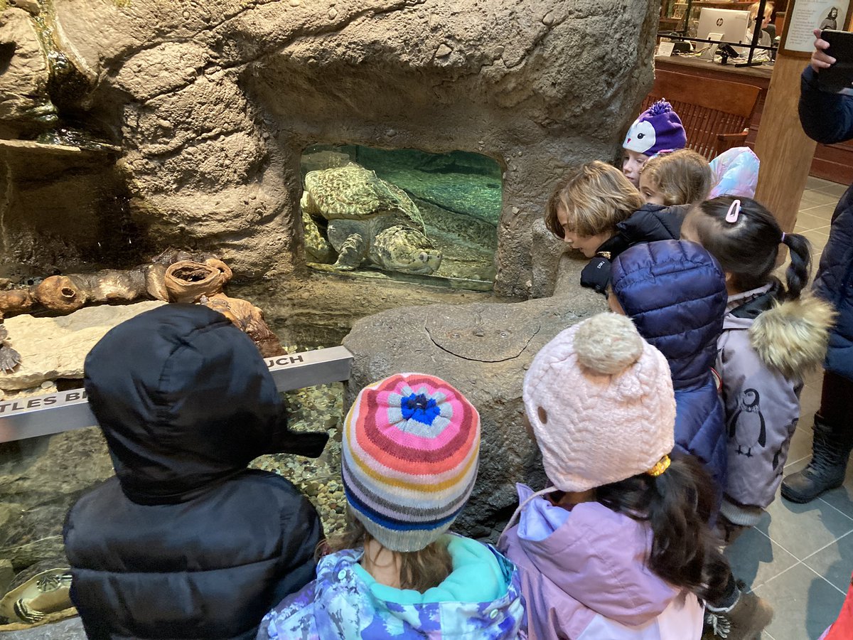 Mrs. Greiner tweet media