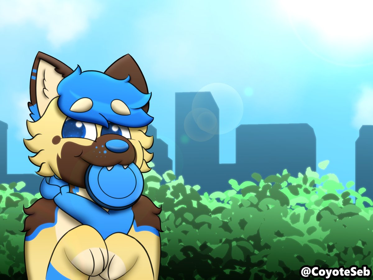 Seb Yote tweet media