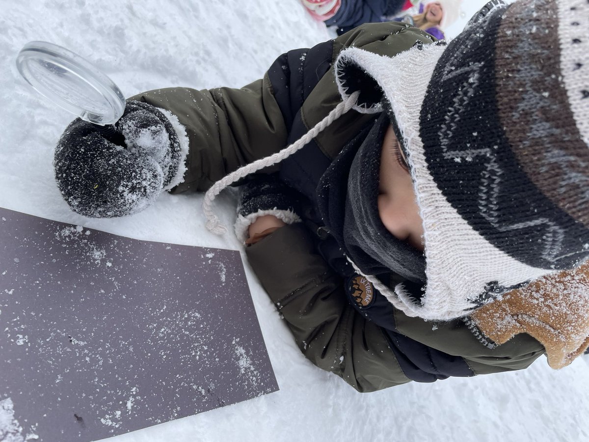 KellyKmcdonald's tweet photo. Thank you #snow days..appreciated the mild temps and snowflakes during our outdoor play time today! Also, our tree stumps were imagined into a galloping horse!! https://t.co/qKrvIwaGdf